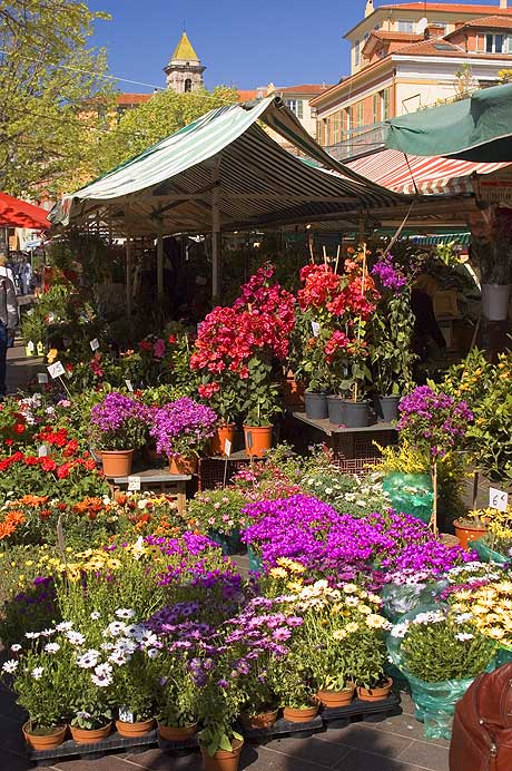 Marché aux fleurs à Nice en France sur la Côte d'Azur photo