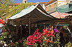 Piața De Flori în Nisa Franța Pe Riviera